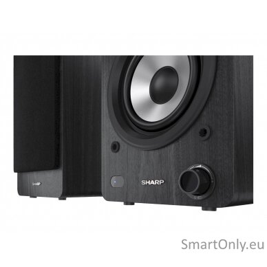 Sharp CP-SS30 Bookshelf Speakers, Black 22