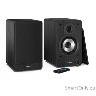 Sharp CP-SS30 Bookshelf Speakers, Black 7