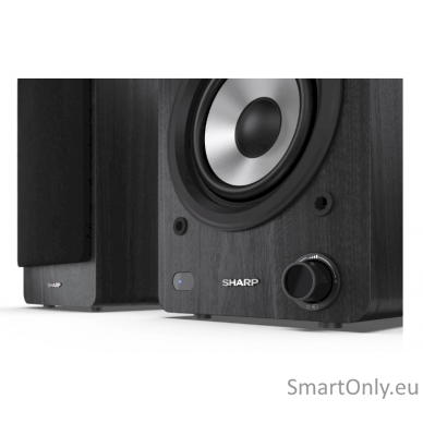 Sharp CP-SS30 Bookshelf Speakers, Black 9