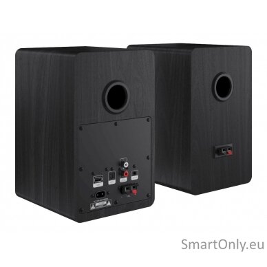 Sharp CP-SS30 Bookshelf Speakers, Black 20