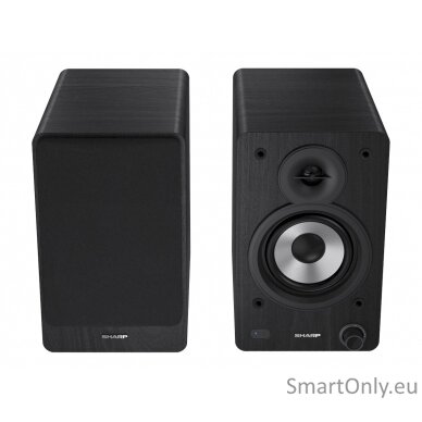 Sharp CP-SS30 Bookshelf Speakers, Black 15