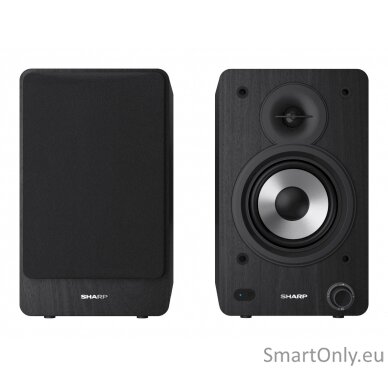 Sharp CP-SS30 Bookshelf Speakers, Black 17