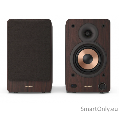 Sharp CP-SS30 Bookshelf Speakers, Brown 1