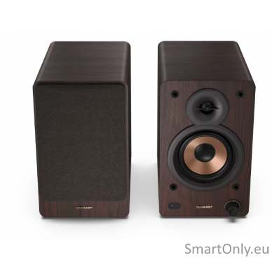 Sharp CP-SS30 Bookshelf Speakers, Brown 3