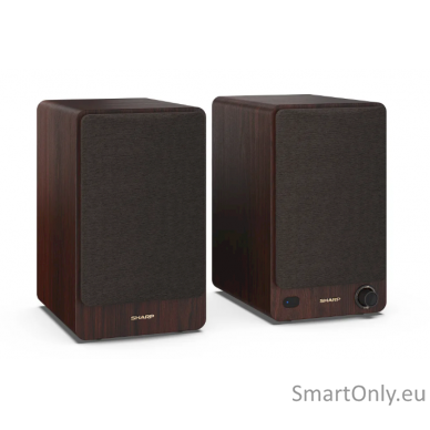 Sharp CP-SS30 Bookshelf Speakers, Brown 6