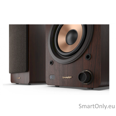 Sharp CP-SS30 Bookshelf Speakers, Brown 9