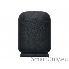 Sony SRS-LS1 LinkBuds Speaker Wireless Portable Speaker, Black | Sony