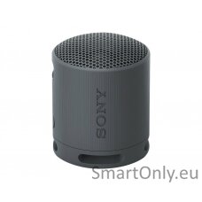 Sony SRS-XB100 Portable Wireless Speaker, Black