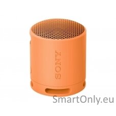 Sony SRS-XB100 Portable Wireless Speaker, Light Gray