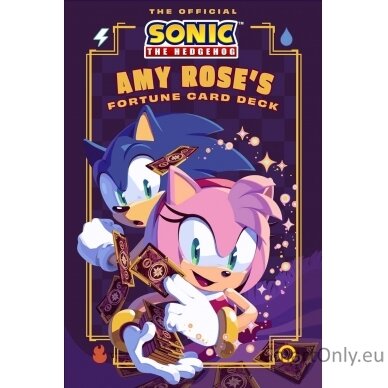 Sonic The Hedgehog Amy Rose's Toro kortos ir vadovas Insight Editions 1