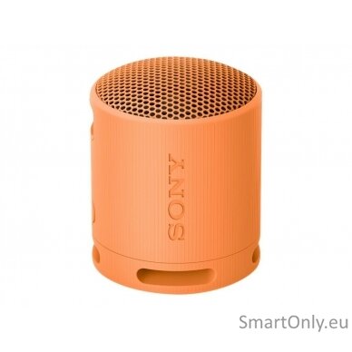 Sony SRS-XB100 Portable Wireless Speaker, Light Gray