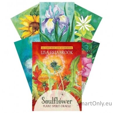 Soulflower Plant Spirit Oracle kortos Findhorn Press