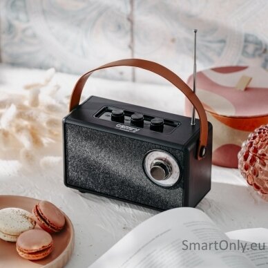 Speaker with radio | CR 1902 B | 5 W | Bluetooth | Black | Wireless connection 10