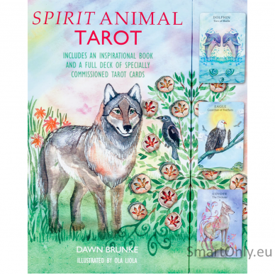 Spirit Animal Taro kortos Cico Books 7