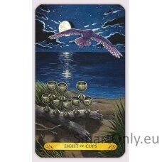 Tarot of the owls kortos Llewellyn