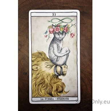 Tarot Cats kortos Fournier 7