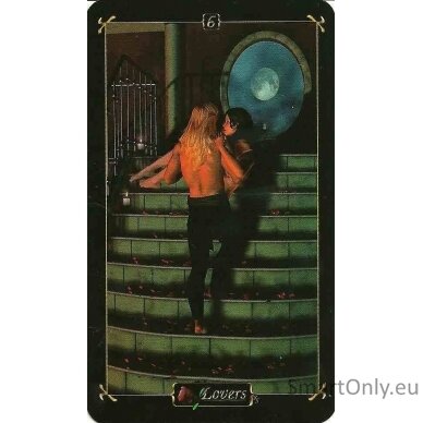 Tarot Deck of Heroes kortos Schiffer Publishing 2