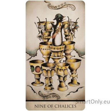 Tarot Nuages kortos US Games Systems 9