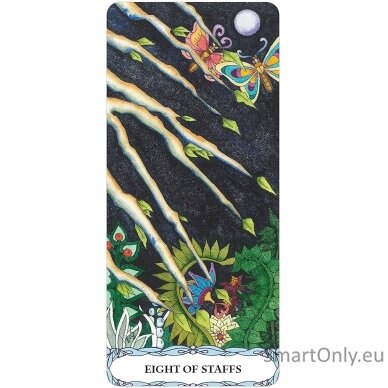 Tarot of a Moon Garden Borderless kortos US Games Systems 3