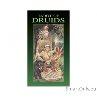 Tarot Of Druids kortos Lo Scarabeo 4