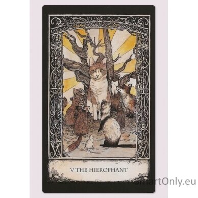 Tarot of Tales kortos ir naudojimosi vadovas Cico Books 6