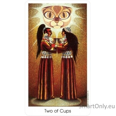 Tarot Of The Cat People kortos US Games Systems 3