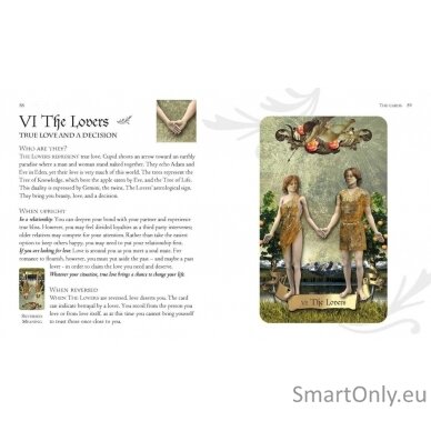 Tarot Of The Heart kortos Cico Books 1