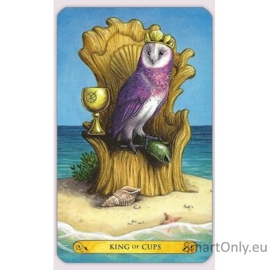 Tarot of the owls kortos Llewellyn 3