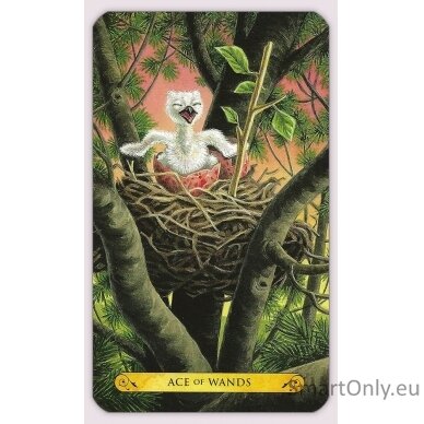 Tarot of the owls kortos Llewellyn 5