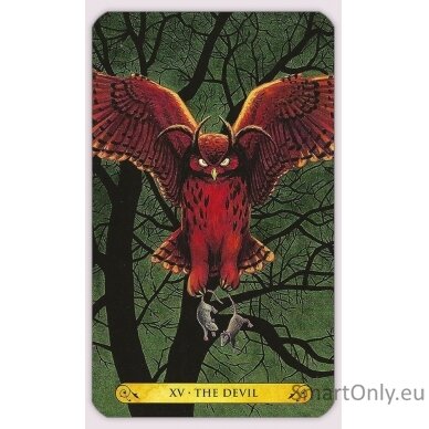 Tarot of the owls kortos Llewellyn 6