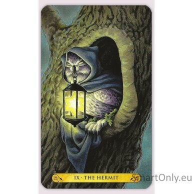 Tarot of the owls kortos Llewellyn 8