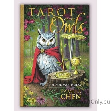 Tarot of the owls kortos Llewellyn 9