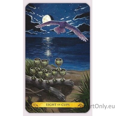 Tarot of the owls kortos Llewellyn 1