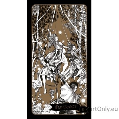 Tarot Of The Sorceress Taro kortos Rockpool 3