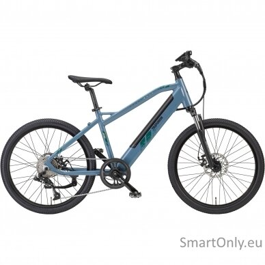 Telefunken MTB E-Bike  Aufsteiger M915 24 " 24 month(s) Blue