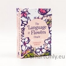 The Language of Flowers Oracle kortos Rockpool