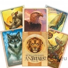 The Secret Language of Animals Oracle kortos Blue Angel