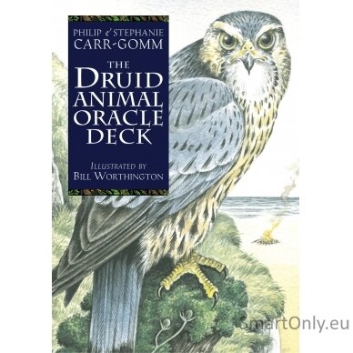 The Celtic Tree Oracle kortos Welbeck Publishing 1