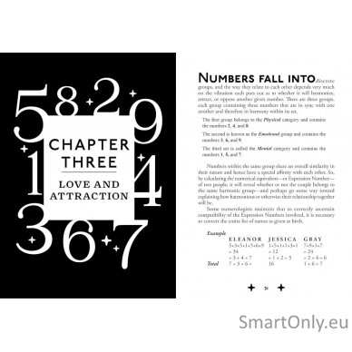 The Magic of Numbers Numerology's  Knyga Schiffer Publishing 2