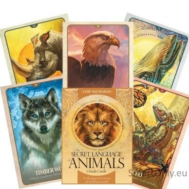 The Secret Language of Animals Oracle kortos Blue Angel