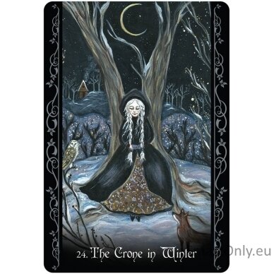 The Solitary Witch Oracle kortos Blue Angel 8