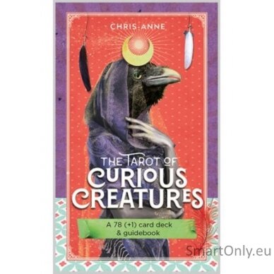 The Tarot of Curious Creatures kortos Hay House 1