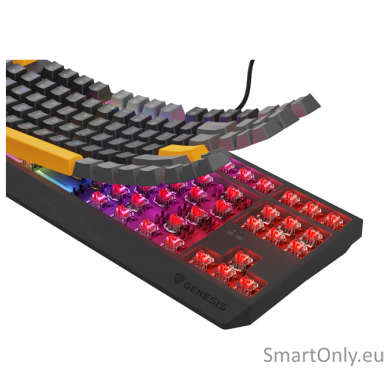 THOR 230 | Mechanical Gaming Keyboard | Wired | US | Anchor Gray Positive | USB Type-A | Outemu Red 2