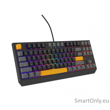 THOR 230 | Mechanical Gaming Keyboard | Wired | US | Anchor Gray Positive | USB Type-A | Outemu Red 3