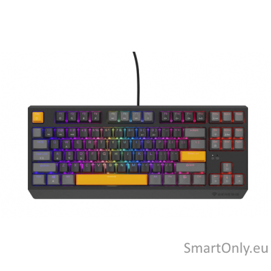 THOR 230 | Mechanical Gaming Keyboard | Wired | US | Anchor Gray Positive | USB Type-A | Outemu Red 5