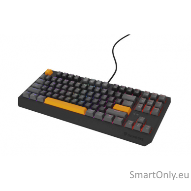 THOR 230 | Mechanical Gaming Keyboard | Wired | US | Anchor Gray Positive | USB Type-A | Outemu Red