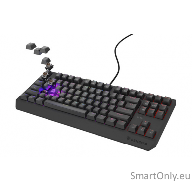 THOR 230 | Mechanical Gaming Keyboard | Wired | US | Black | USB Type-A | Outemu Brown 1