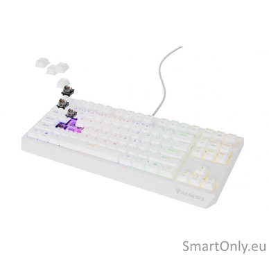 THOR 230 | Mechanical Gaming Keyboard | Wired | US | White | USB Type-A | Outemu Brown 1