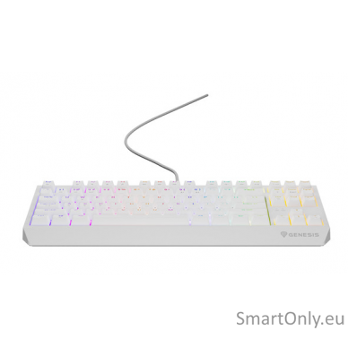 THOR 230 | Mechanical Gaming Keyboard | Wired | US | White | USB Type-A | Outemu Brown 3