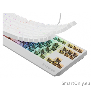 THOR 230 | Mechanical Gaming Keyboard | Wired | US | White | USB Type-A | Outemu Brown 5